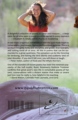 The Miracle Already Happening Back Cover (Click to view full size image.)