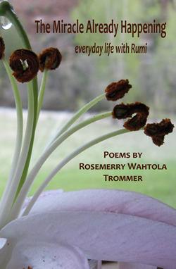 The Miracle Already Happening Front Cover (Click to view full size image.)